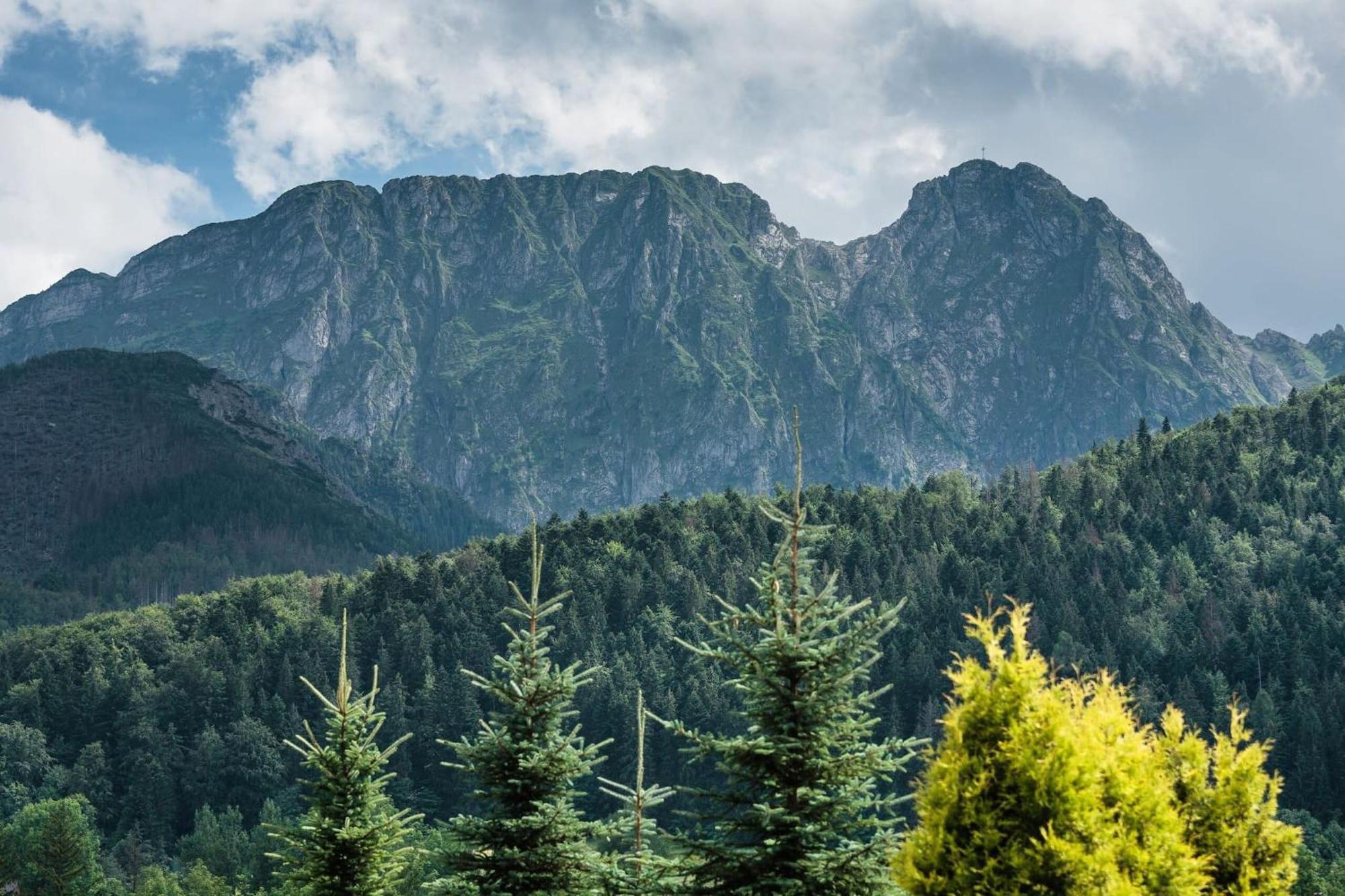 Rent Like Home - Skibowki Zakopane Eksteriør billede