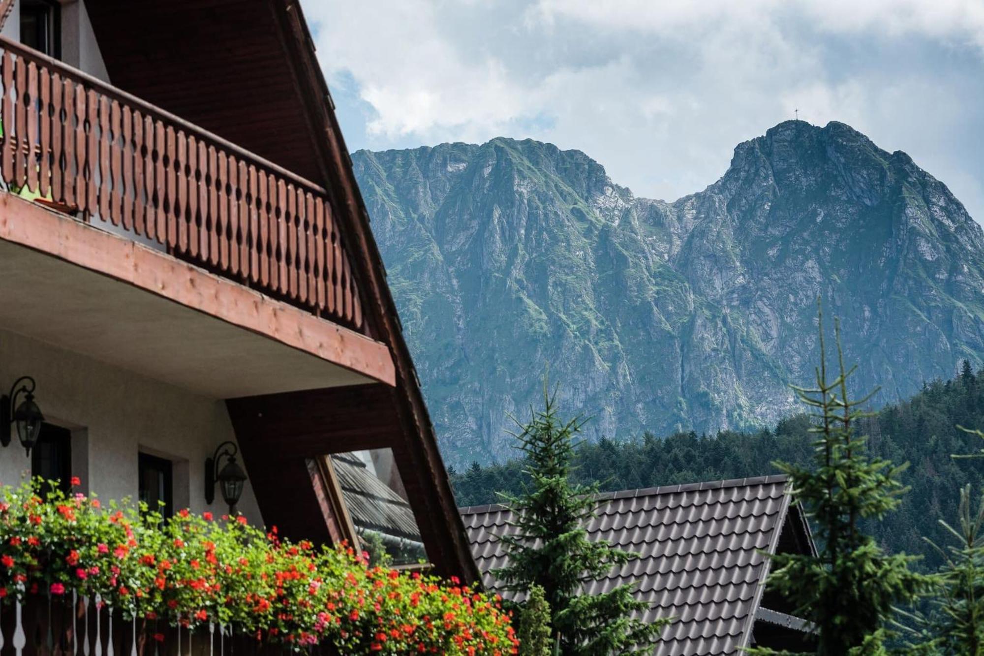 Rent Like Home - Skibowki Zakopane Eksteriør billede